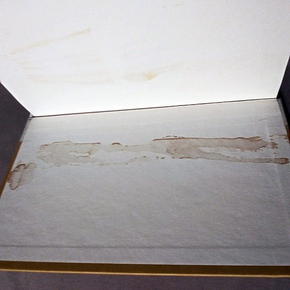 First Edition, Tree of Life, Maryse Condé, Collectible, Malcolm X, Martin Luther - Picture 6 of 11